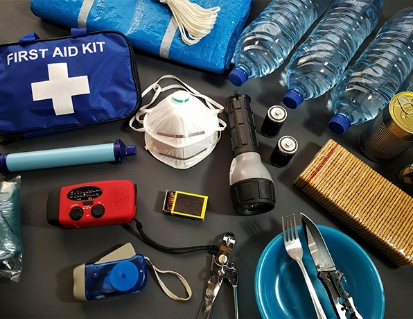 Travel medicine kit and vaccination preparation